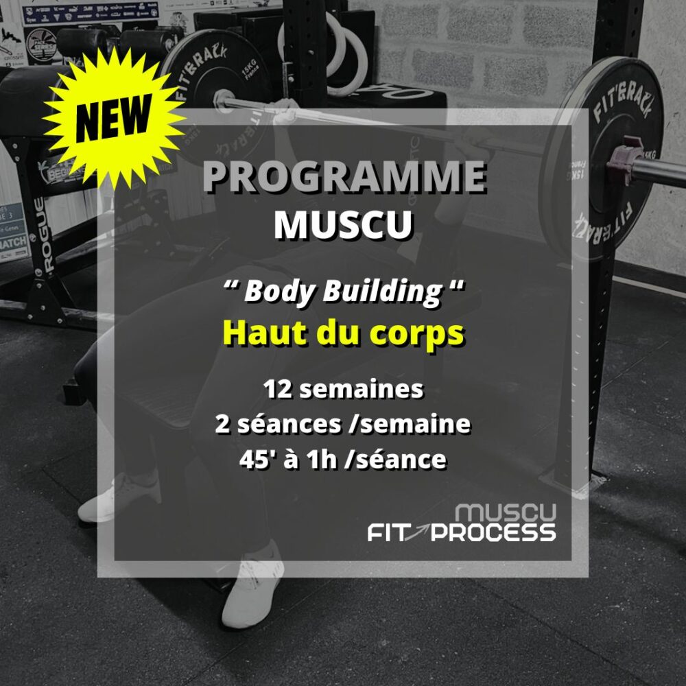 muscu haut du corps